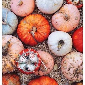 Meet your Posher, Niyahna